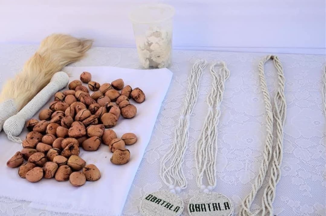 Sacred Ifá divination items including ikin palm nuts and ceremonial objects